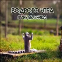 Картинка бодрого утра понедельника прикольная