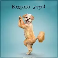 Картинка бодрого утра прикольная смешная