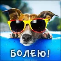 Картинка болею в отпуске