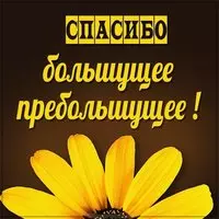 Картинка большущее пребольшущее спасибо