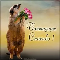 Картинка большущее спасибо красивая