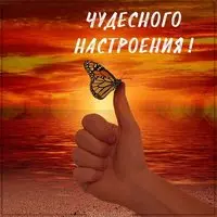 Картинка чудесного настроения с бабочками