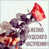 Картинка чудесного настроения женщине