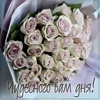 Картинка чудесного вам дня