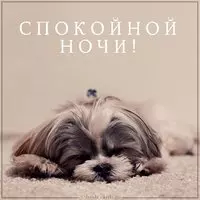 Картинка добрая спокойной ночи
