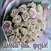 Картинка добрый день друзья с надписью красивая