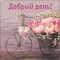 Картинка добрый день прикольная необычная