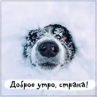 Картинка доброе спортивное утро прикольная
