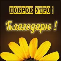 Картинка доброе утро благодарю
