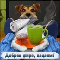 Картинка доброе утро девчули смешная