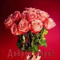 Картинка доброе утро девушке со словами