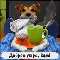 Картинка доброе утро кум прикольная