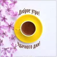 Картинка доброе утро удачного дня красивая необычная