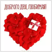 Картинка доброго дня любимая