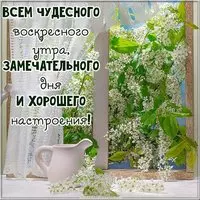 Картинка доброго воскресного дня красивая