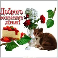 Картинка доброго воскресного дня с надписями
