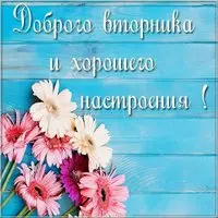 Картинка доброго вторника и хорошего настроения