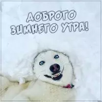 Картинка доброго зимнего утра прикольная