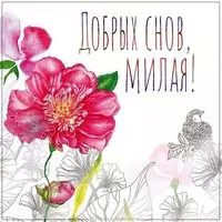 Картинка добрых снов девушке