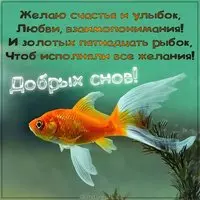 Картинка добрых снов прикольная мужчине