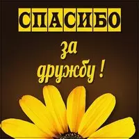 Картинка друзьям спасибо за дружбу