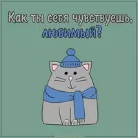 Картинка как ты себя чувствуешь любимый