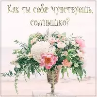 Картинка как ты себя чувствуешь солнышко