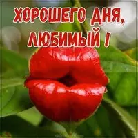 Картинка хорошего дня любимый прикольная