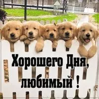 Картинка хорошего дня любимый с надписью прикольная