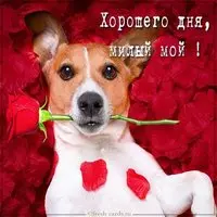 Картинка хорошего дня милый прикольная