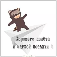 Картинка хорошего полета и мягкой посадки веселая