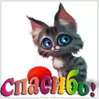 Картинка кошки спасибо