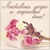 Картинка ласкового утра и хорошего дня