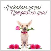 Картинка ласкового утра и прекрасного дня