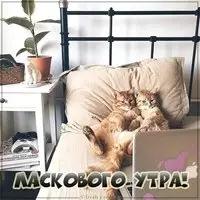 Картинка ласкового утра прикольная