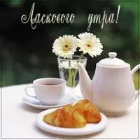 Картинка ласкового утра