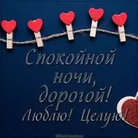 Картинка мужчине спокойной ночи целую люблю