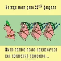 Картинка на 23 февраля прикольная
