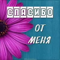 Картинка открытка со словом спасибо