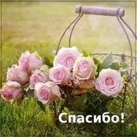 Картинка открытка спасибо