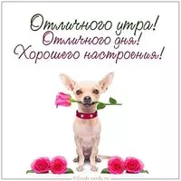 Картинка отличного утра дня и хорошего настроения