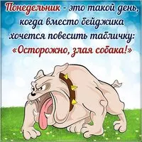 Картинка понедельник чудный день
