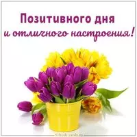 Картинка позитивного дня и отличного настроения