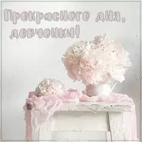 Картинка прекрасного дня девчонки