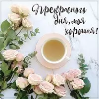 Картинка прекрасного дня моя хорошая
