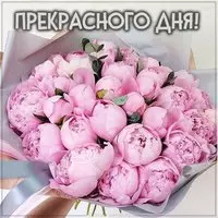 Картинка прекрасного дня нежная