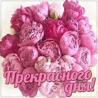 Картинка прекрасного дня новая