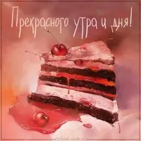Картинка прекрасного утра и дня