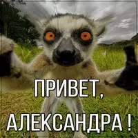 Картинка привет Александра