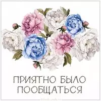 Картинка приятно было пообщаться